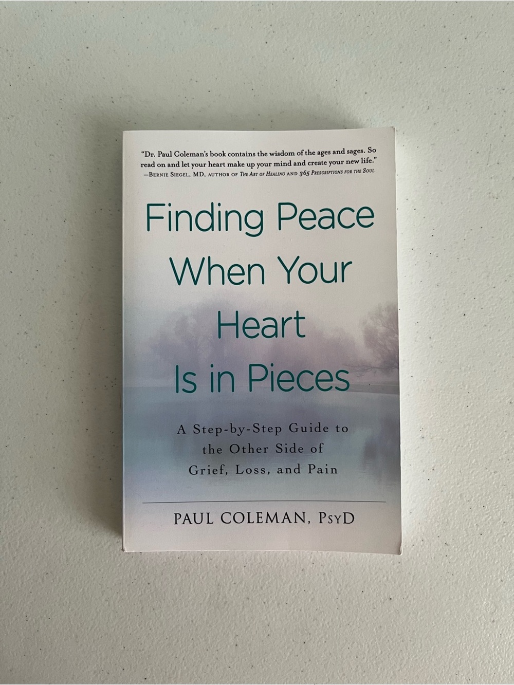 Finding Peace When Your Heart Is in Pieces - Paperback